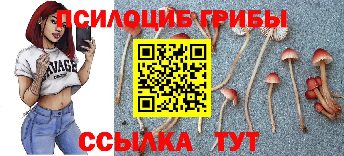 Галлюциногенные грибы GOLDEN TEACHER Рубцовск